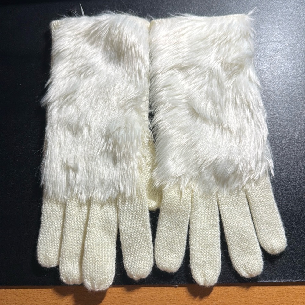 Ann Taylor Glove. 100% NEW